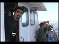 San Juan Excursions Whale Watching