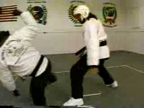 KARATE CHIMP