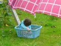 banette � linge