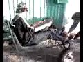 CON EL CARTING DEL PIDIO