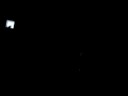 CARISMATICO