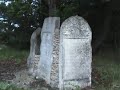 Kirkut w P?awnie (Jewish cemetery in P?awno) Kirkut w P?awnie (Jewish cemetery in P?awno)