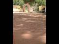 hermita y UTR.wmv