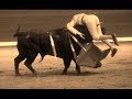 Especimen - Plaza de Toros (toreros asesinos)