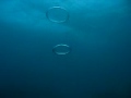 Blowing rings under water at the President Cooliage.avi