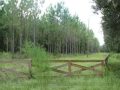 TBD NW CR 336 Chiefland, FL 32626