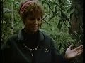 EarthFirst Mourning Loss of a Tree - Crying & Screaming