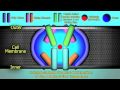 The Mechanism of Prozac - HD