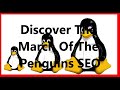 March Of The Penguins SEO Course Reviews
