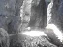 otter otter