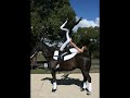 Vaulting AND Roping Vaulting AND Roping
