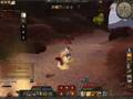 Age of Conan Bug