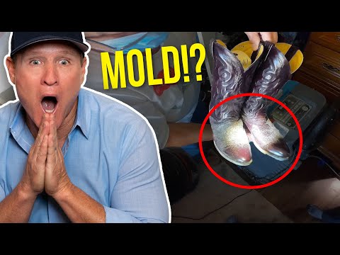 video-linktoworks-Plumbers find INSANE water leak that is causing MOLD...