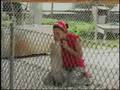 Alligator Farm Video - "The Everglades Alligator Farm - VOA Story"