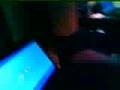 Toy Fox Terrier video
