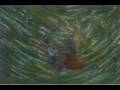 teresa teng, tian mi mi, deng lijun, 鄧麗君, BIRD DANCE, Hong Kong