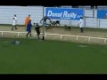 perros aweonaos