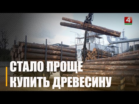 Спрасціліся правілы продажу драўніны фізічным асобам видео