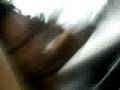 screamoo crazy