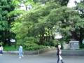 Rehearsal:Kaela Kimura at Hibiya Yagai Ongakudo