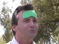 TV Junkies - The Impotent Hulk TV Junkies - The Impotent Hulk