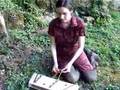 baby hammered dulcimer