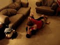 Batt vs. Landon