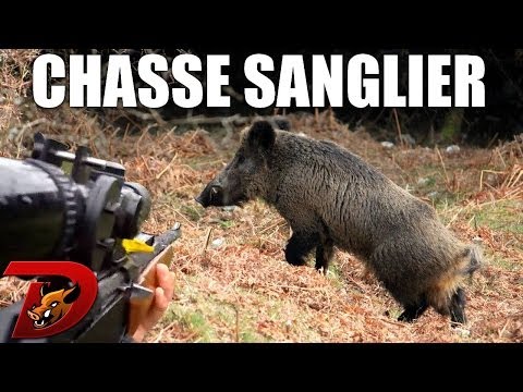 chasse - Dernière partie de la trilogie de ma saison 2013-2014 avec enfin des prélèvements mais aussi un loupé du Daron. Ne ratez pas l'épisode 2 pour me voir préleve...