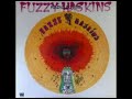 Fuzzy Haskins