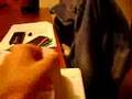 videos de Michina cat