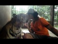 Tiger Temple animal abuse!