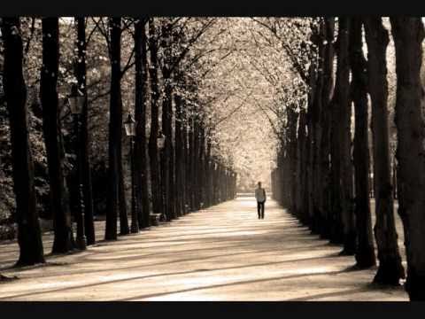 You'll Never Walk Alone - Nina Simone