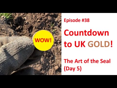 #38: The Art of the Seal! (Countdown to UK GOLD, Day 5) XP Deus 2 Metal Detecting
