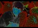 Strawberry fields forever