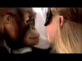 El test del beso/el beso perfecto