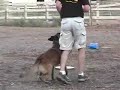 worst-police-dog-in-the-world.html