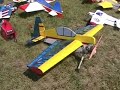 Effingham Crossroads 2008 ProBro - 3D RC Event