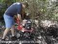 Planting Potatoes