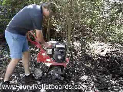 how to fertilize red potatoes
