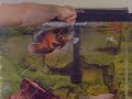 Oscar cichlid fish scaring the wife Oscar cichlid fish scaring the wife