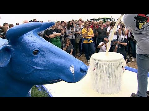 Landwirte protestieren in Belgien mit 600 Traktoren g ...