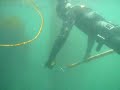 Spearfishing for vermillion rockfish