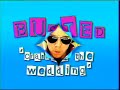busted-crashed the wedding