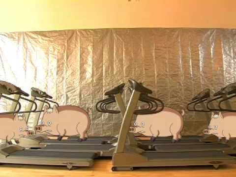 Spider Pig Treadmill Dance