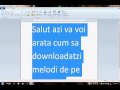 Cum sa descarcati muzica de pe trilulilu