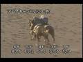 videos de [調教] 081008 アロマキャンドル 「秋華賞」一週前追い切り