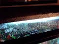 Misting Zues' cage