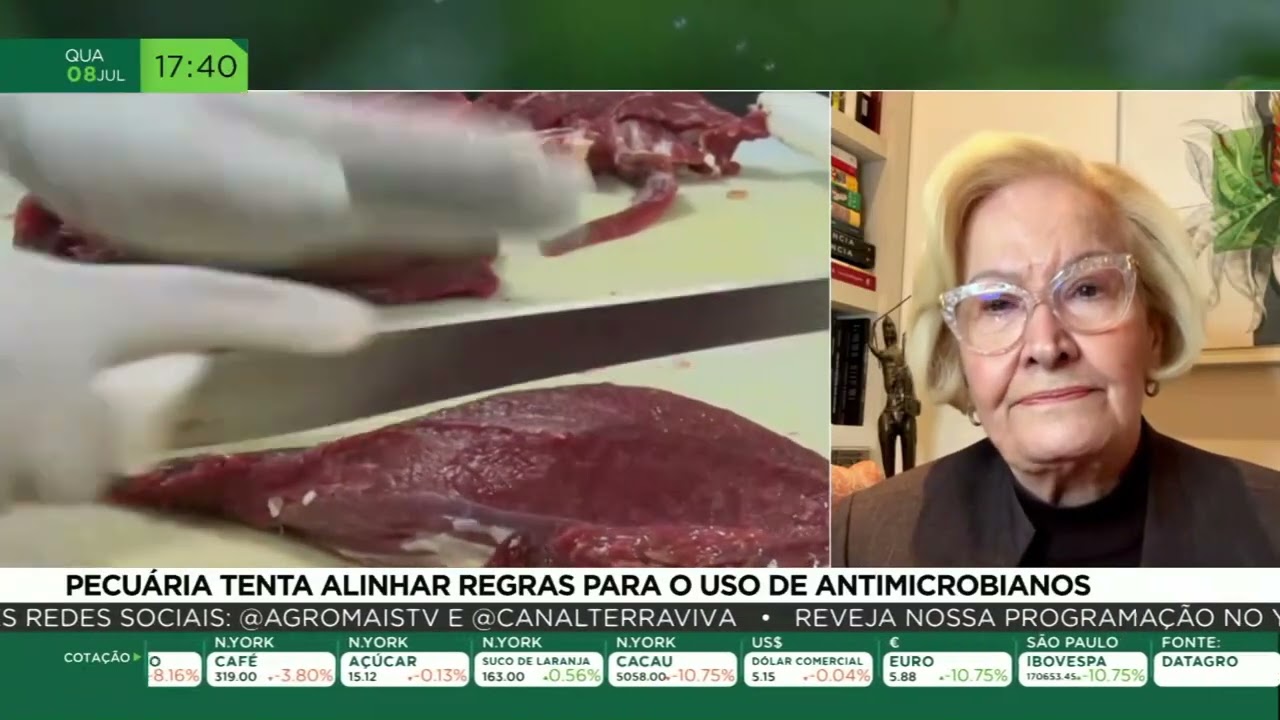Produtores de milho dos EUA pedem retaliação ao Brasil
