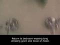 Men Vs Women Shower