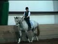 Trot work with Geremy